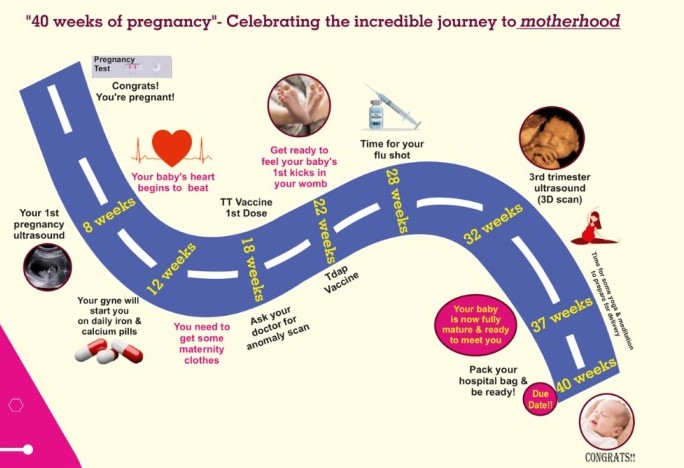 The beautiful journey called 'Pregnancy'